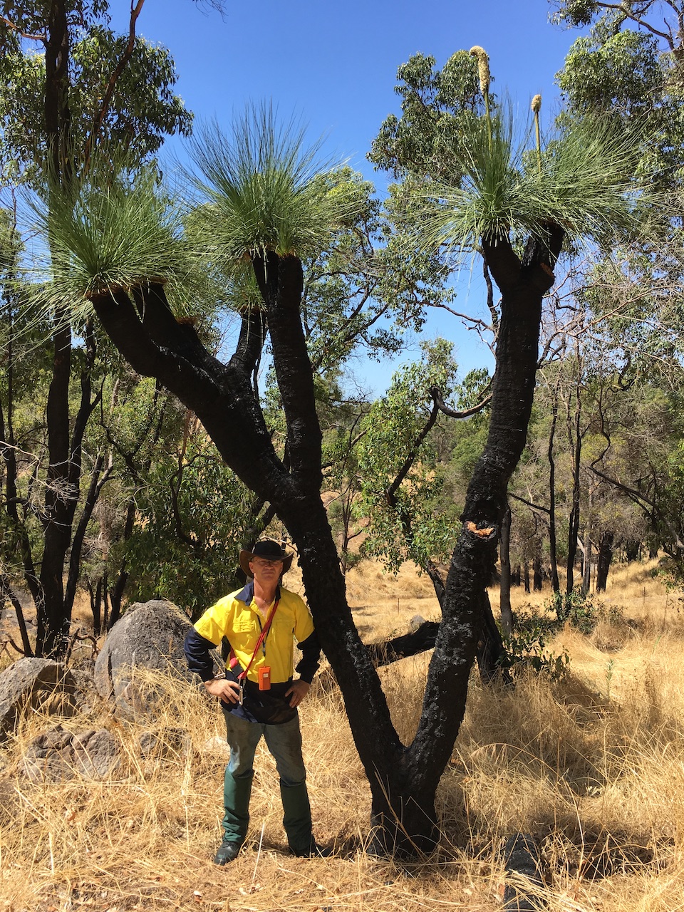 Stephen in Yarloop, Western Australia